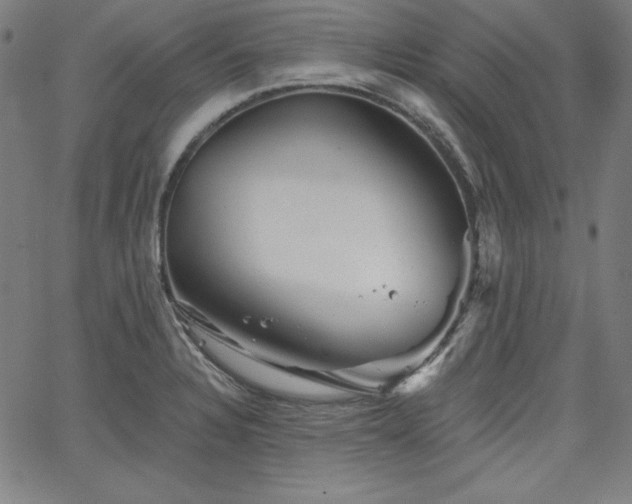 X0000066121328200603101226