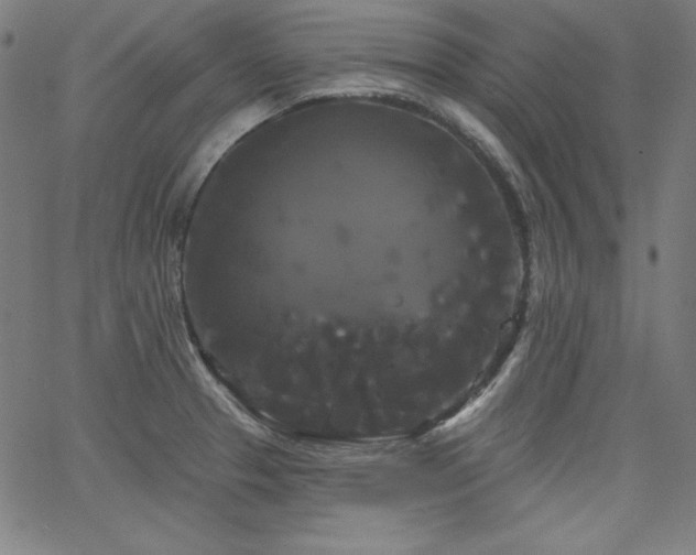 X0000066121329200603101226