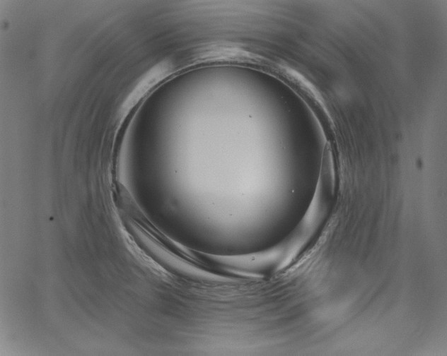 X0000066121330200603101226