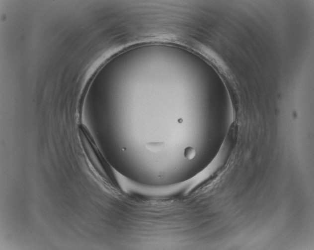 X0000066121332200603101226