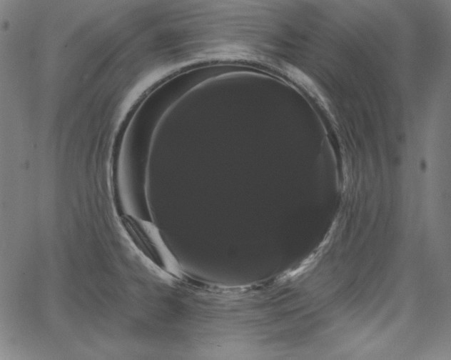 X0000066121334200603101226