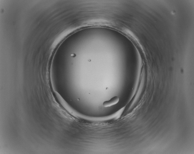 X0000066121336200603101226