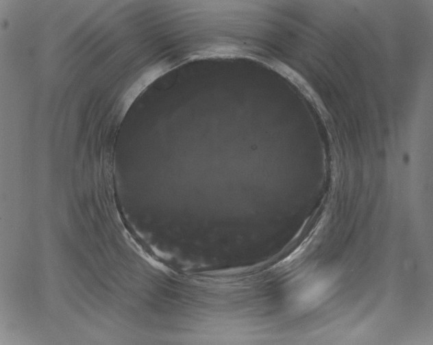 X0000066121337200603101226