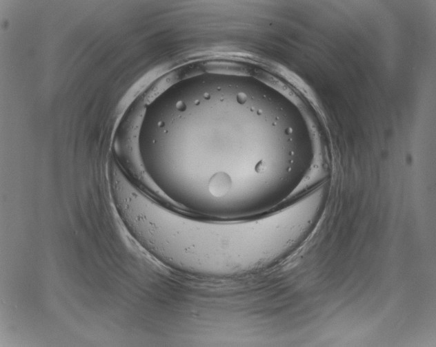 X0000066121338200603101226