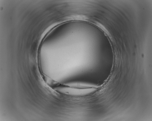 X0000066121339200603101226