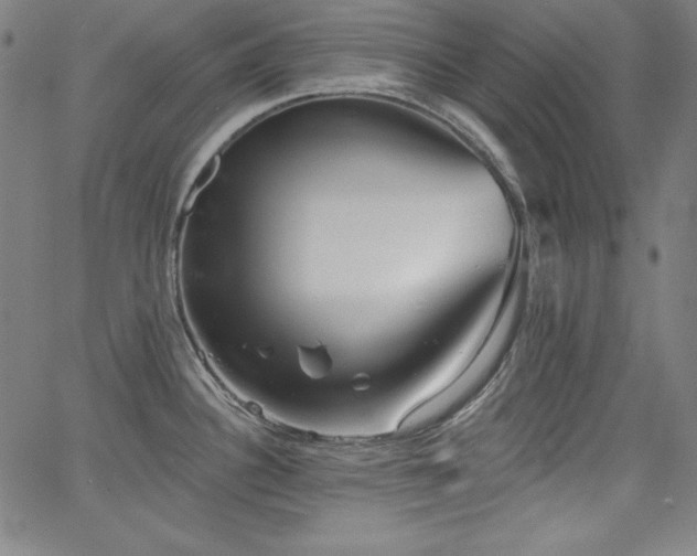 X0000066121340200603101226