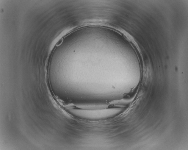 X0000066121341200603101226