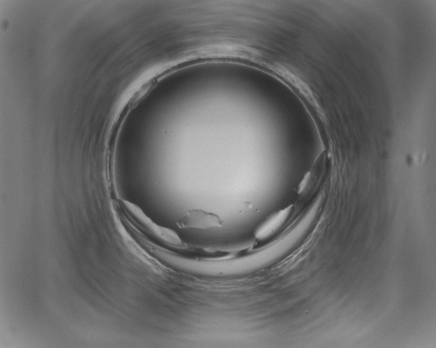 X0000066121342200603101226