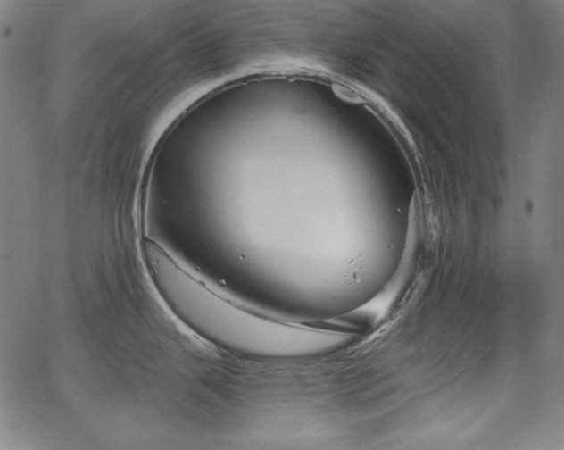 X0000066121343200603101226