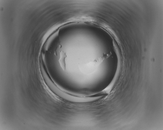 X0000066121344200603101226