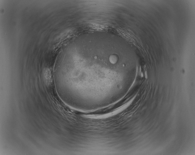 X0000066121347200603101225