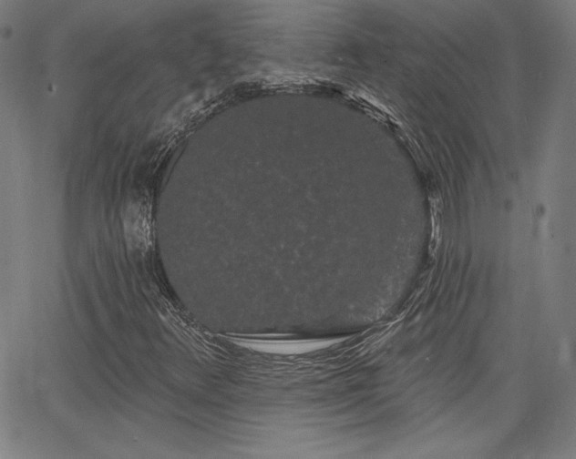 X0000066121348200603101225