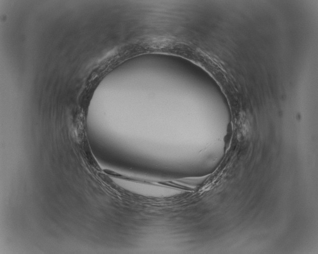 X0000066121349200603101225