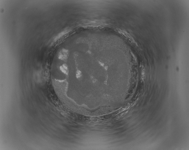 X0000066121350200603101225