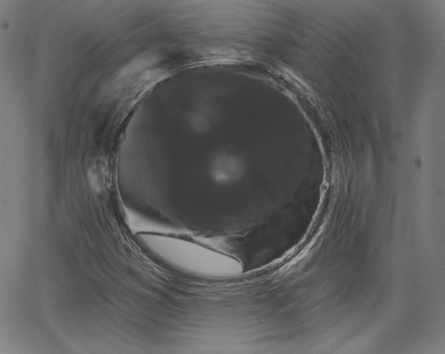 X0000066121353200603101225