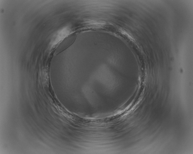 X0000066121354200603101225