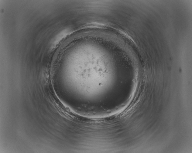 X0000066121355200603101225