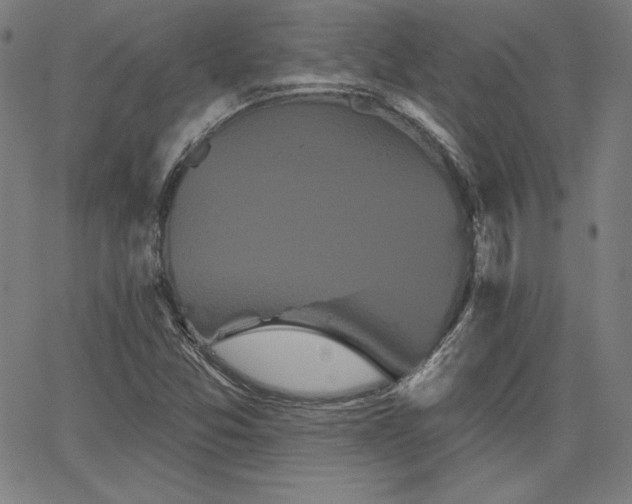 X0000066121357200603101225