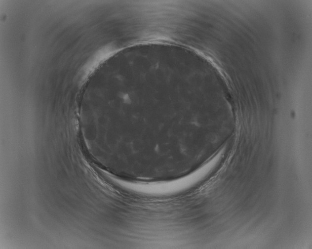 X0000066121363200603101225