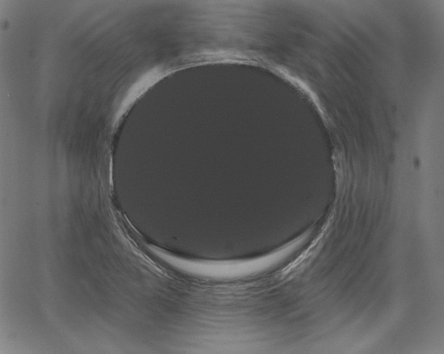 X0000066121365200603101225