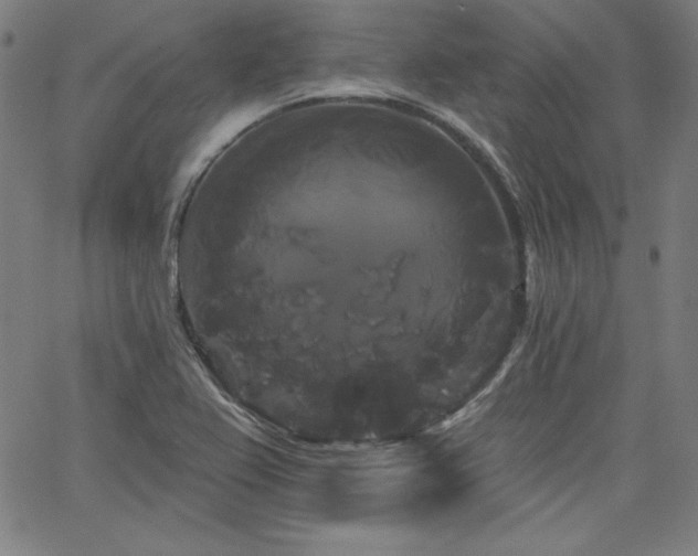 X0000066121367200603101225