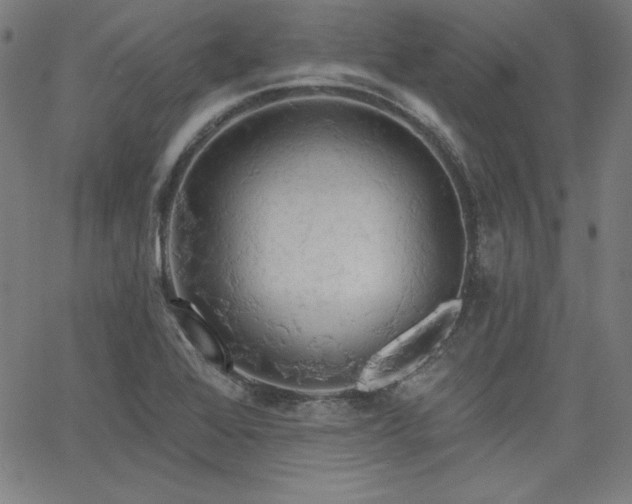 X0000066121368200603101225