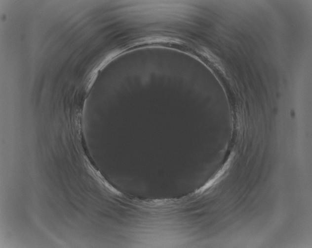 X0000066121369200603101225