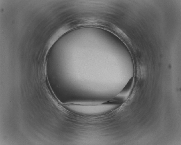 X0000066121370200603101225