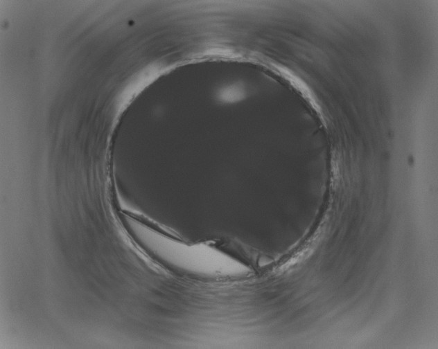 X0000066121373200603101225