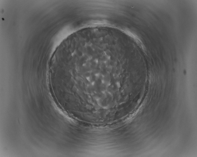 X0000066121374200603101225