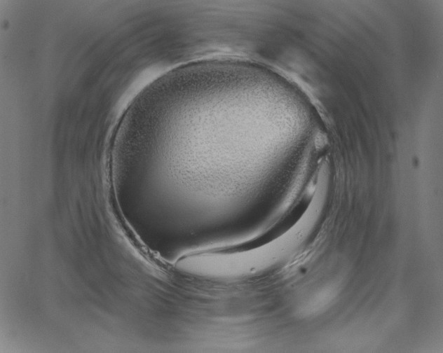 X0000066121375200603101225