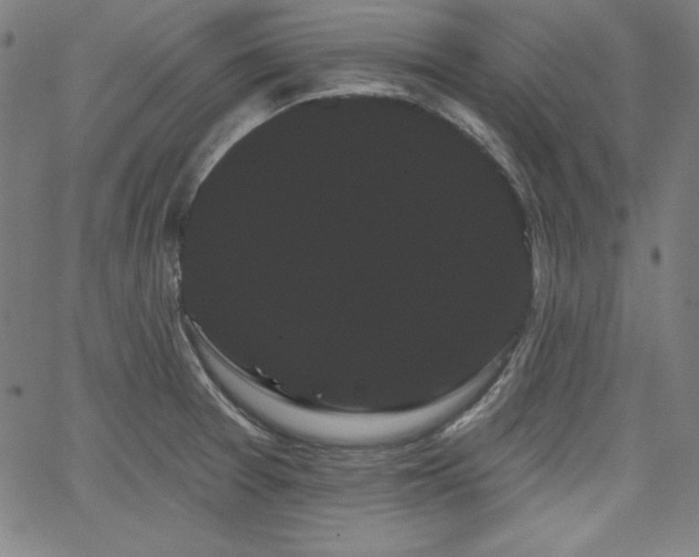 X0000066121377200603101225