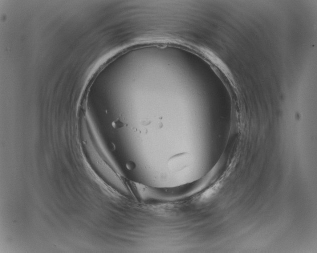 X0000066121380200603101225