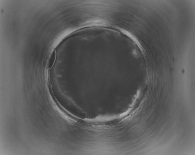 X0000066121383200603101225