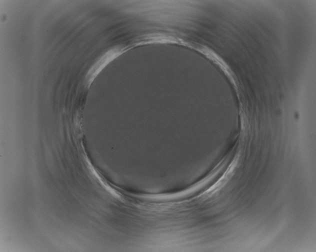 X0000066121385200603101225