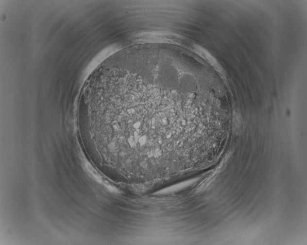 X0000066121386200603101225