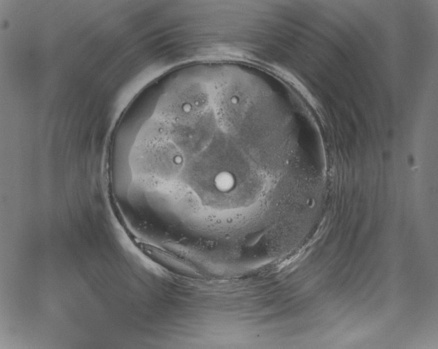 X0000066121387200603101224