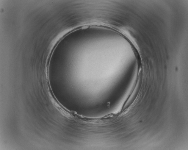 X0000066121388200603101224