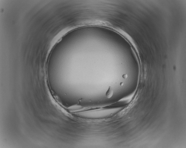 X0000066121389200603101224