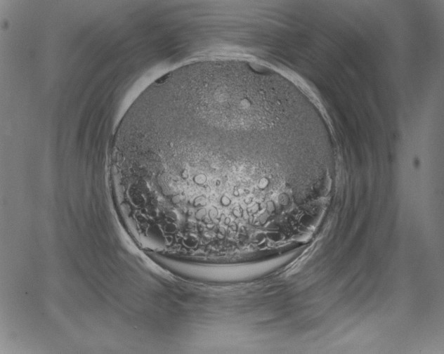 X0000066121390200603101224