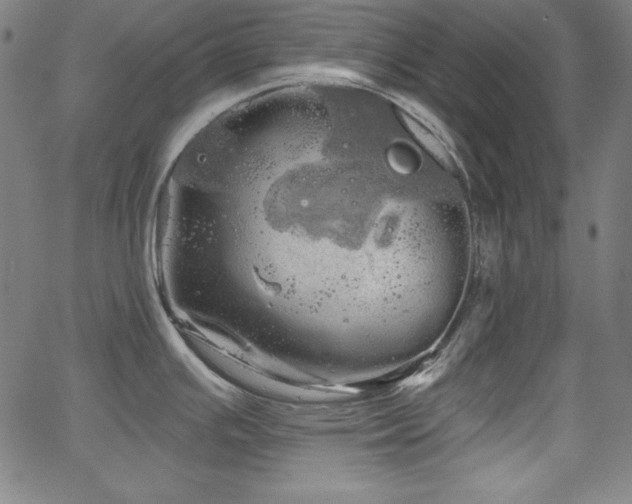 X0000066121391200603101224