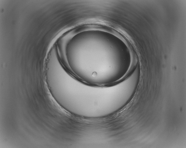 X0000066121392200603101224