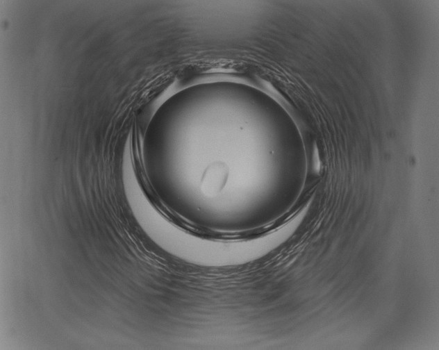 X0000066121394200603101224