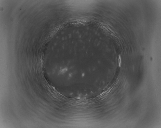 X0000066121395200603101224