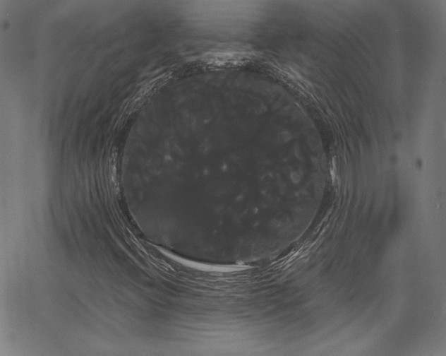 X0000066121396200603101224