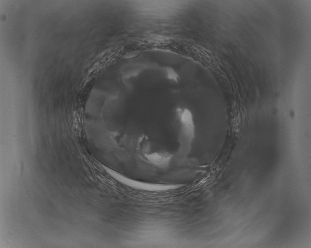 X0000066121397200603101224