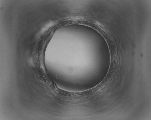 X0000066121398200603101224