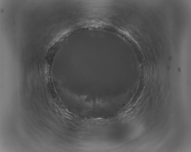 X0000066121399200603101224