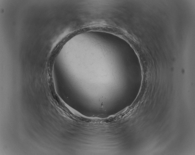 X0000066121400200603101224