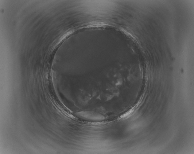 X0000066121401200603101224